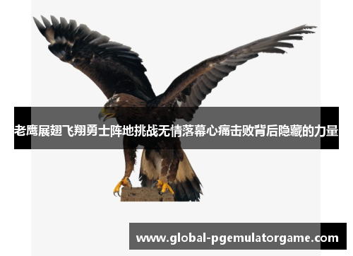老鹰展翅飞翔勇士阵地挑战无情落幕心痛击败背后隐藏的力量