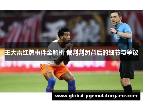 王大雷红牌事件全解析 裁判判罚背后的细节与争议
