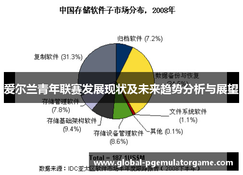 爱尔兰青年联赛发展现状及未来趋势分析与展望
